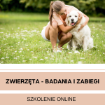 Zwierzęta - badania i zabiegi szkolenie