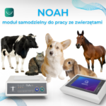 QUEX ED – profesjonalny system kwantowego biofeedbacku - obrazek 19
