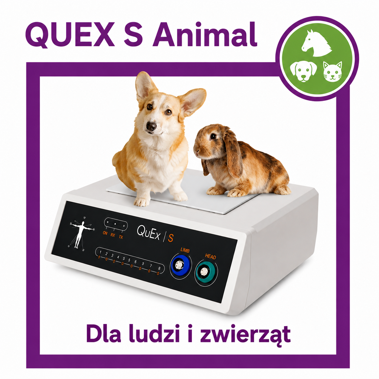 QUEX S Animal QUEX S Animal – biofeedback dla ludzi i zwierząt - obrazek 1